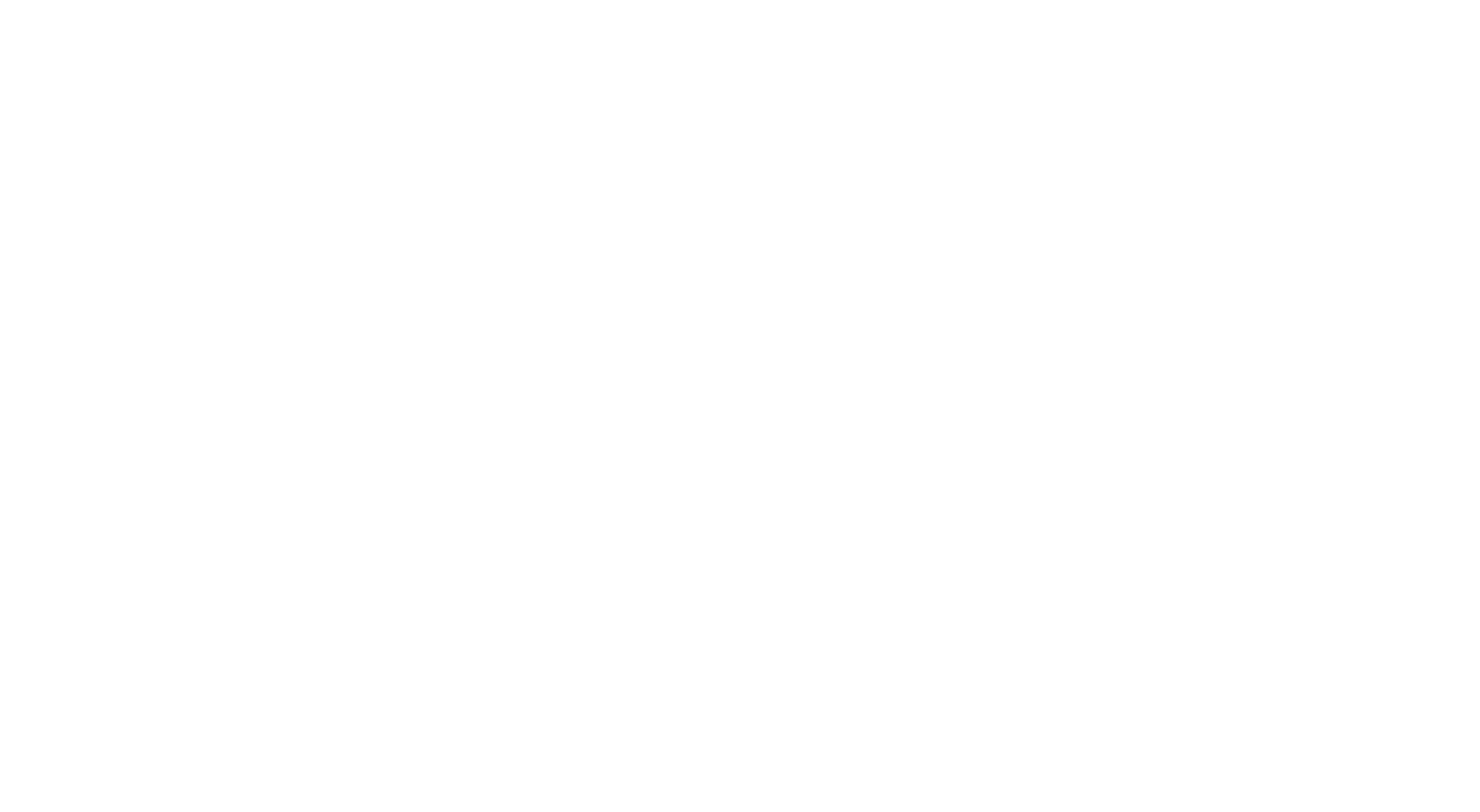 KS C&C CI (어두운 배경용)